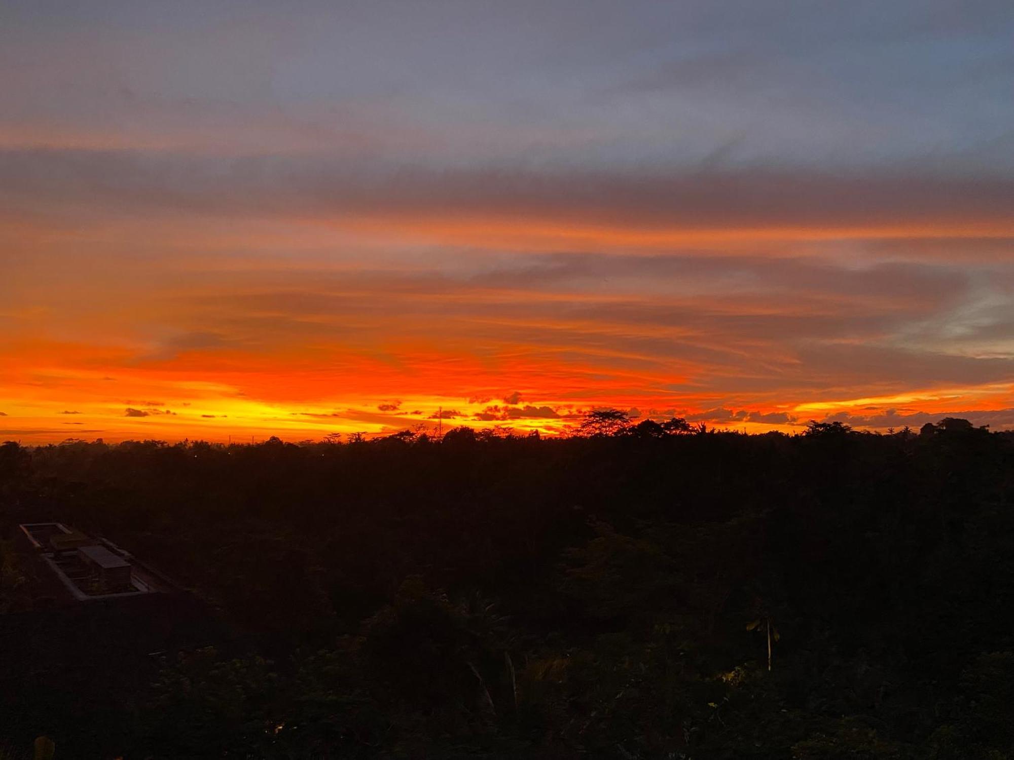 Brata Cottage Ubud Εξωτερικό φωτογραφία